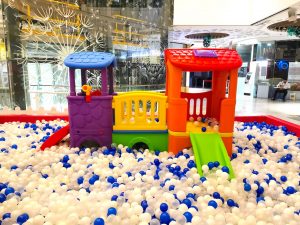 Giant Ball Pit Rental 1