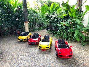 Battery Race Cars Rental 1