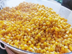 Cup Corns Carnival Live Station Singapore 1 Cup Corns Carnival Live Station Singapore 1