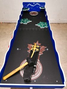 Leaping Lizards Carnival Game Stall Rental 1