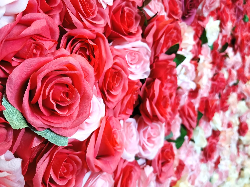 Flower Wall and Green Wall Backdrop Singapore 14