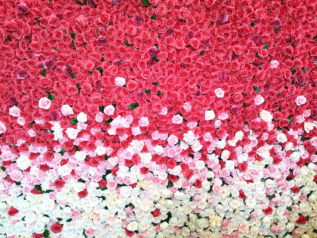 Flower Wall and Green Wall Backdrop Singapore 2