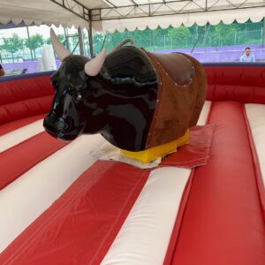 Rodeo Bull