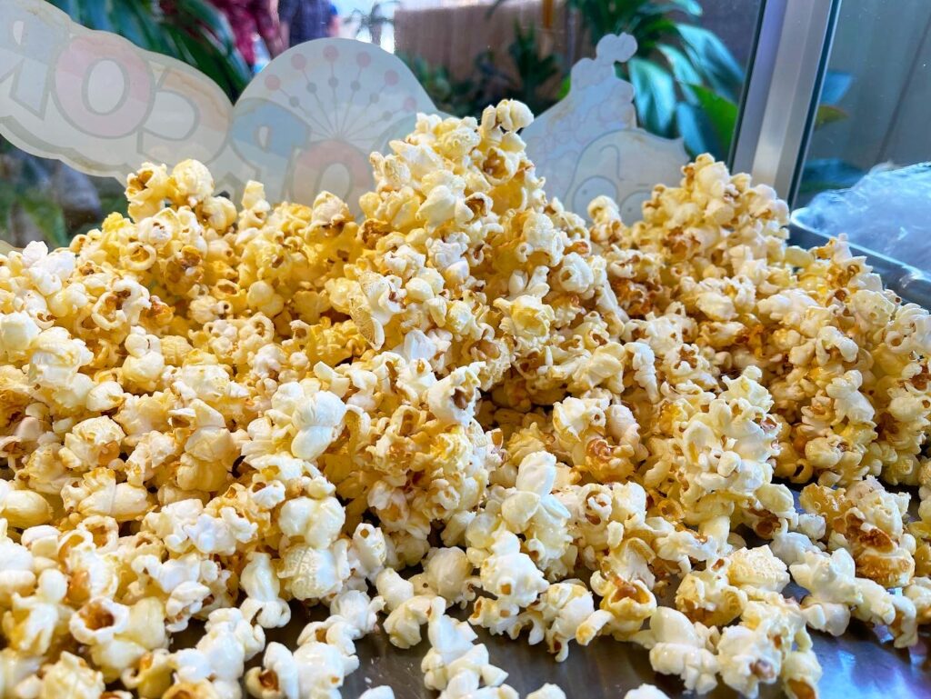 Cheap Popcorn Machine Rental in Singapore 4 Cheap Popcorn Machine Rental in Singapore 4
