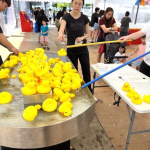 Catch the Duck