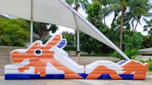 dragon playground bouncy castle 1