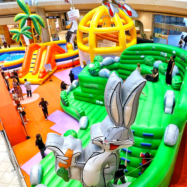 Customised Inflatable Bouncy Castle 16