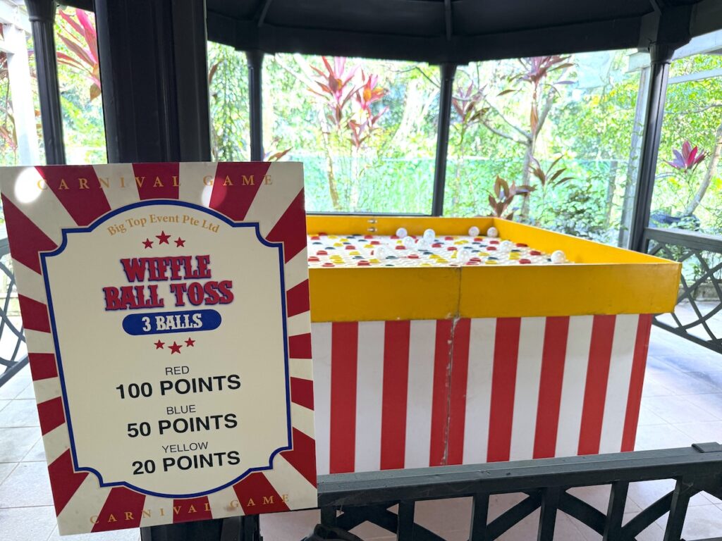 Fun Fair Games Rental Singapore 55