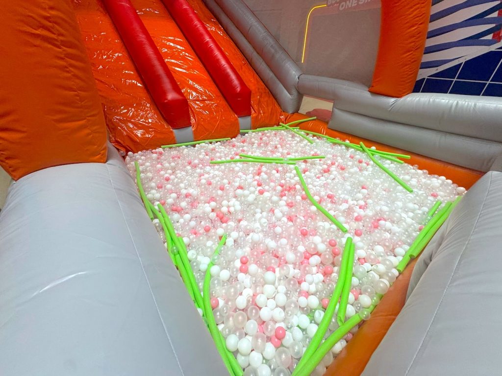 Customised Inflatable Bouncy Castle 10