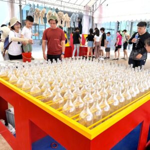 Large Bottles Ring Toss