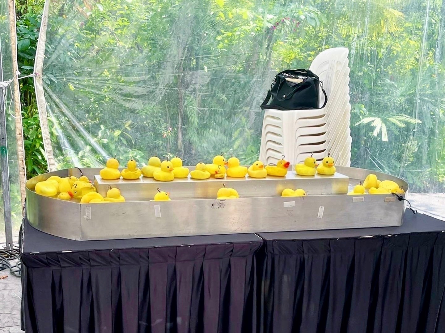 Carnival Games Singapore: The Ultimate Guide to Booking Fun for Your Event 9