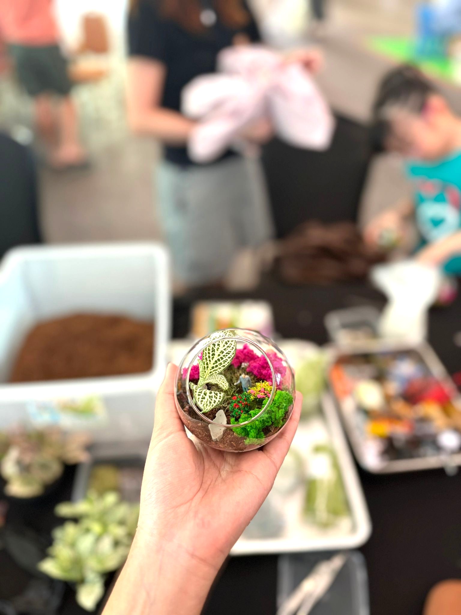 Corporate terrarium making workshop fringe activity in Singapore