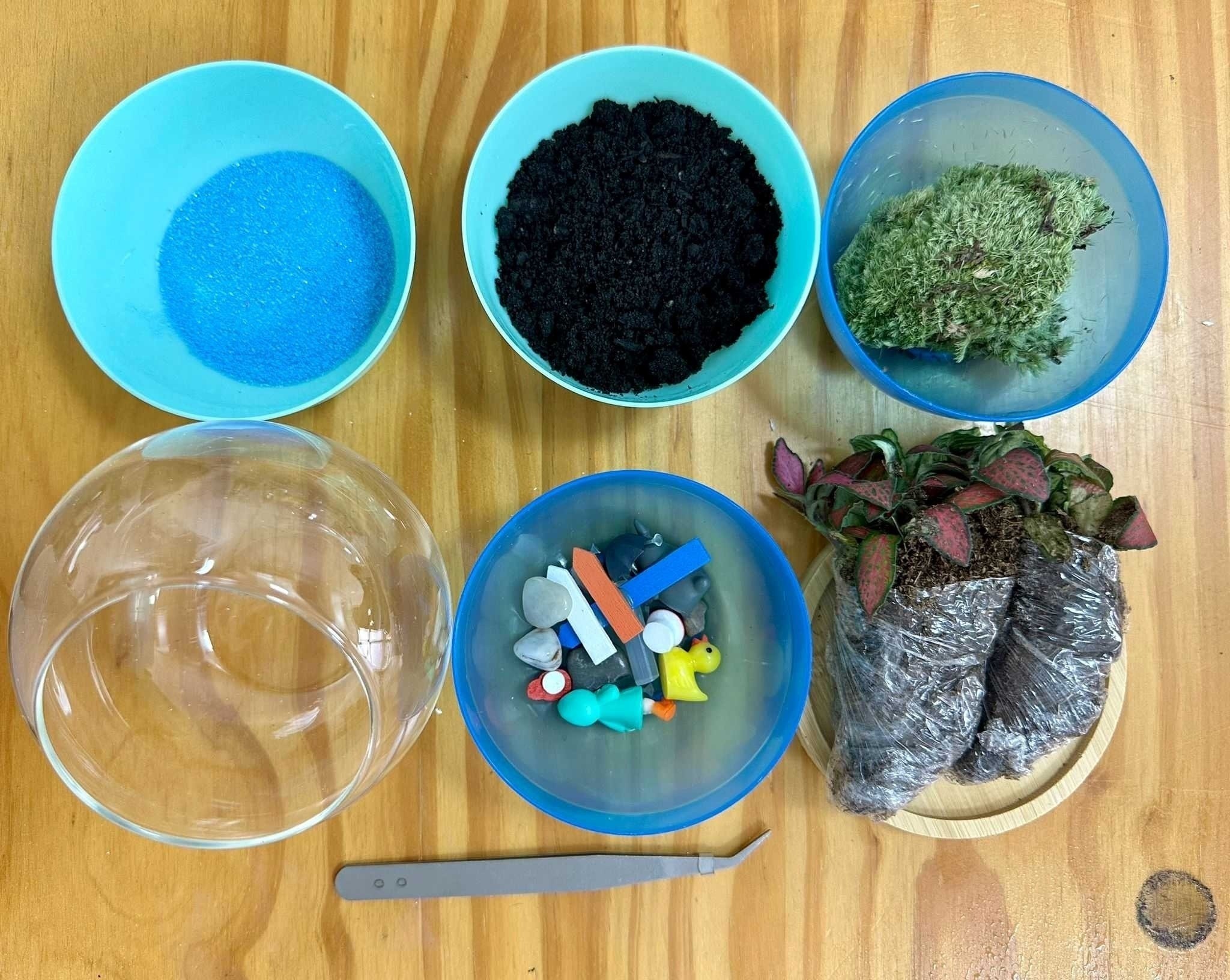 Terrarium making workshop as fringe activity for events in Singapore