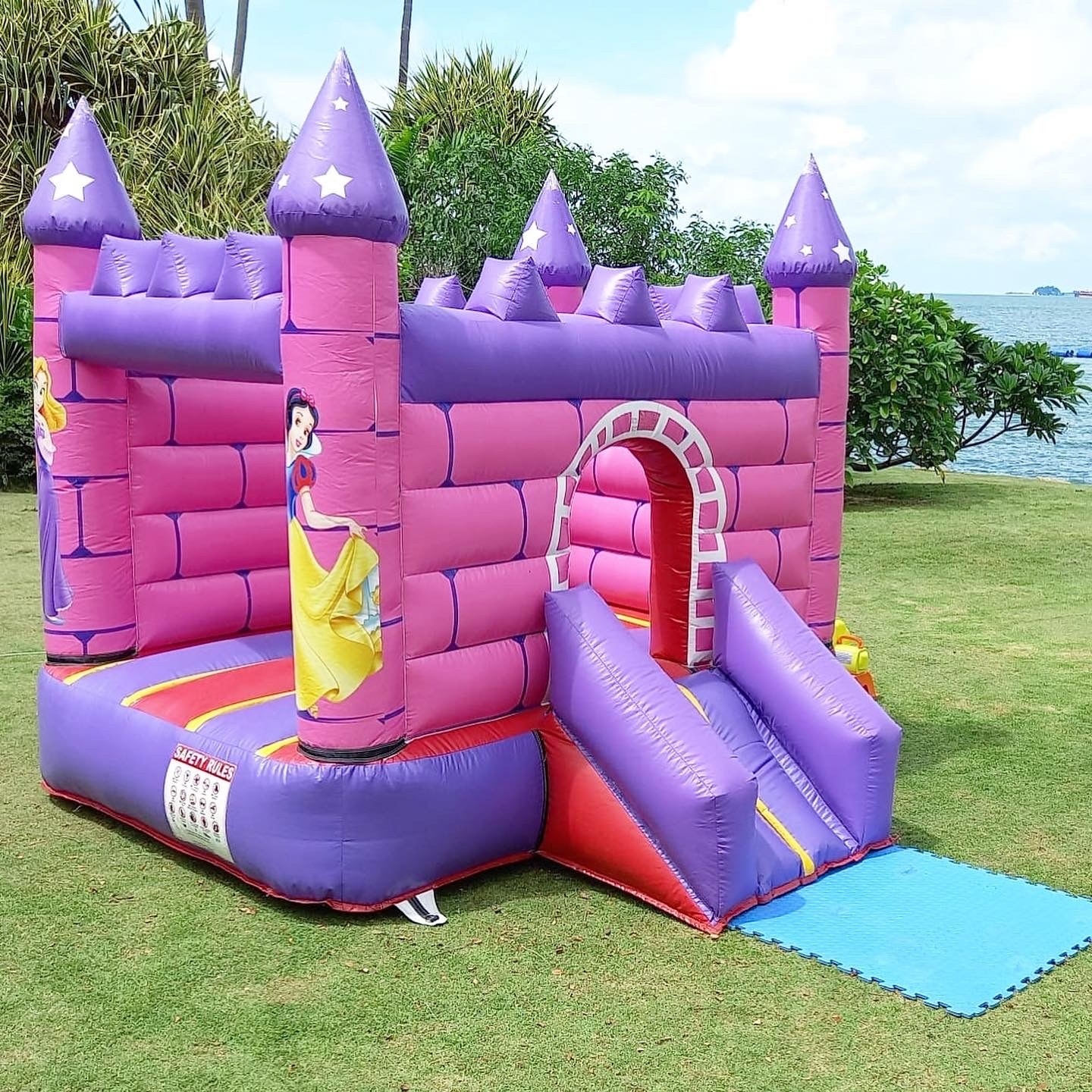 Bouncy Castle Rental: 6 Smart Ways to Choose for Your Event 4 Purple princess bouncy castle on a seaside lawn